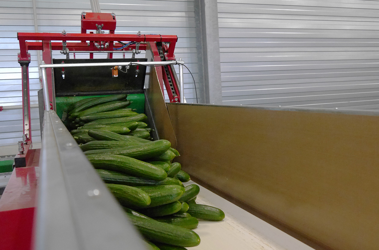 VieTech projecten IJsselgrow B.V. overview