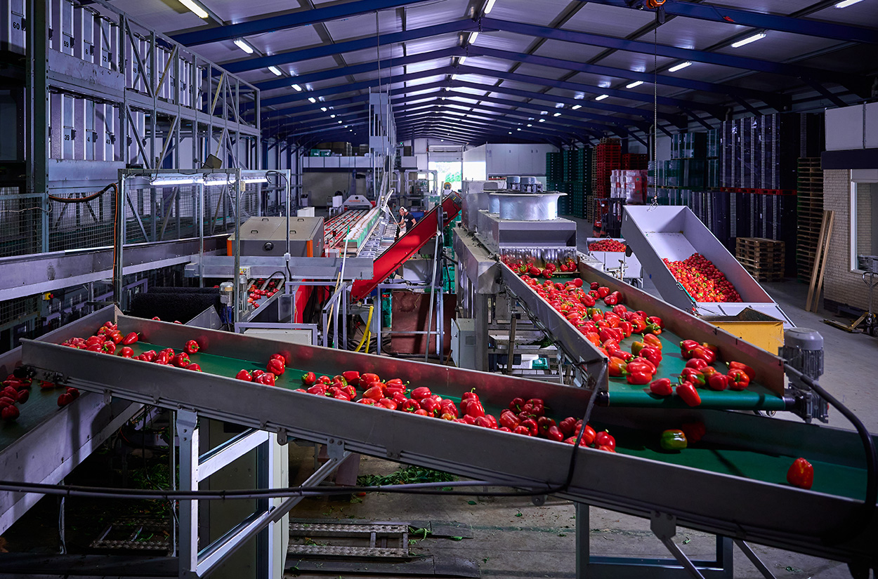 VieTech projecten Van der Harg CV overview